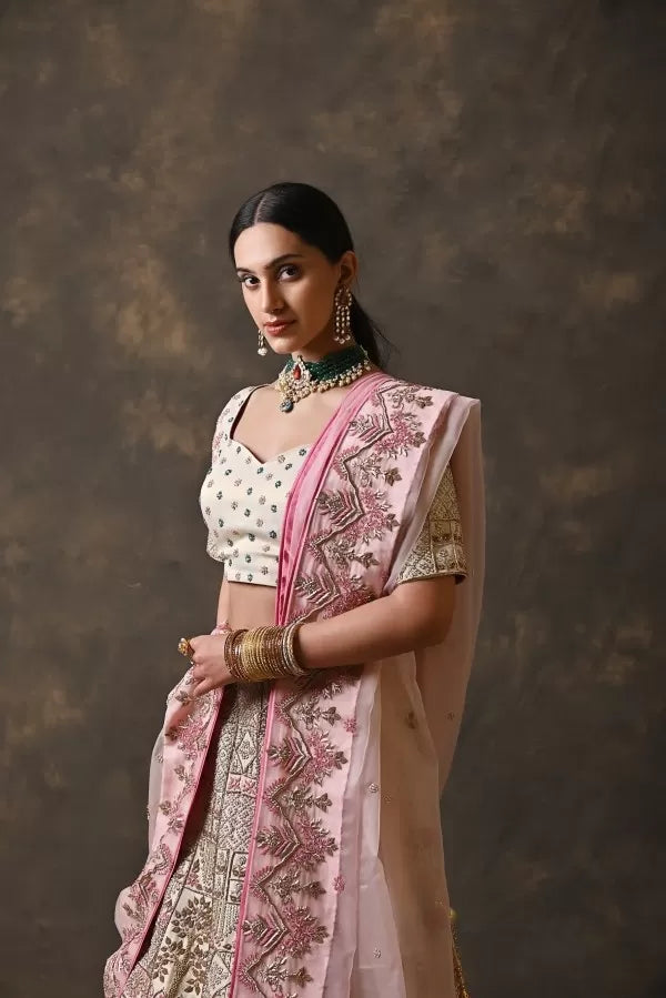 Blush & Ivory Zardosi Bridal Lehenga Set
