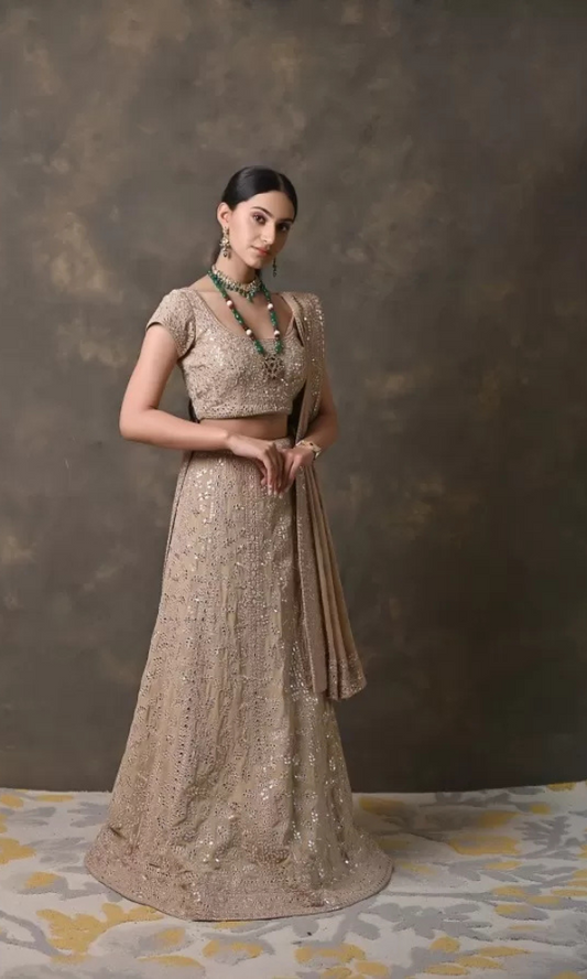 Beige Mirror & Sequin Handworked Georgette Lehenga Set